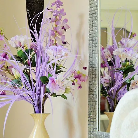 Auberge de jeunesse & Beds Dp