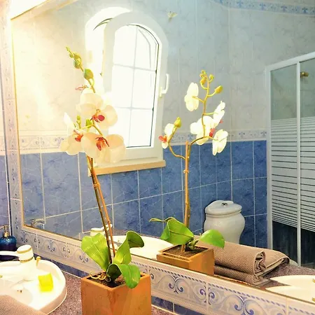 & Beds Dp بيت شباب