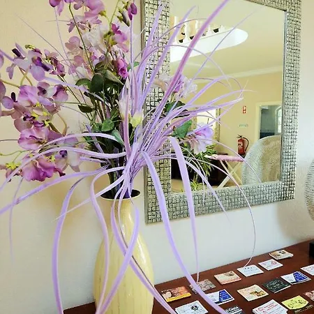 Suites & Beds Dp Albufeira