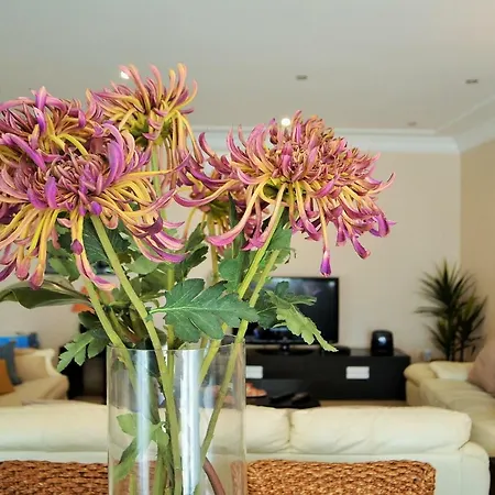 Suites & Beds Dp Albufeira