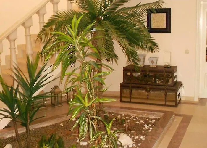 & Beds Dp Hostal Albufeira